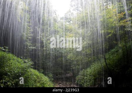 Il ressemble à une pluie d'été qui se tient derrière les chutes d'eau Buttermilk dans l'ouest de la Pennsylvanie Banque D'Images