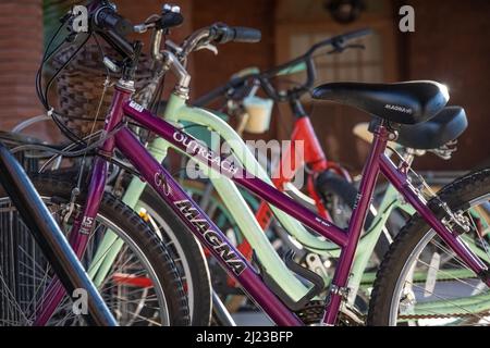 Vélo de plage au campus de Flagler College dans le centre-ville historique de St. Augustine, Floride. (ÉTATS-UNIS) Banque D'Images