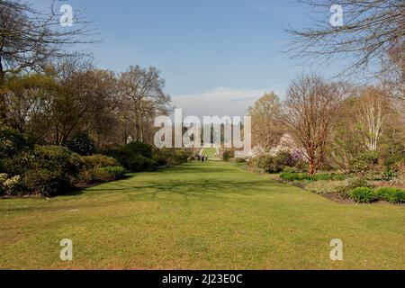 Vue sur la large avenue Lwned sur Battleston Hill, RHS Wisley Garden, Surrey, Angleterre Banque D'Images