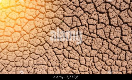 Les étés secs et chauds, le sol craqué, le sol sur le terrain avec quelques petites plantes vertes. Texture de la terre pendant la sécheresse. Soleil. Vue du dessus. Banque D'Images