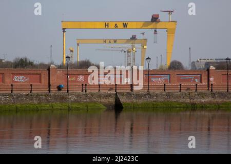Samson et Goliath, deux grues portiques de construction navale de la société Harland & Wolff, se reflètent dans la rivière Lagan Belfast en Irlande du Nord Banque D'Images