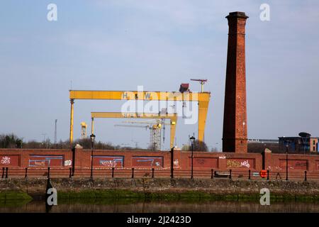 Samson et Goliath, deux grues portiques de construction navale de la société Harland & Wolff Belfast, Irlande du Nord Banque D'Images