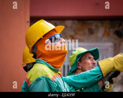 Medellin, Antioquia, Colombie - Mars 25 2022: Les travailleurs portant des costumes de protection verts et chapeau jaune dur recherchent et voir une pièce d'un arbre tombant faire Banque D'Images