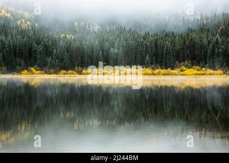 Les pins, dépolis de la première neige de l'automne, se reflètent dans un lac alpin calme du Colorado. Banque D'Images