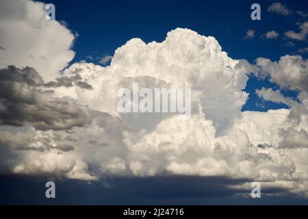 Les nuages Cumulus se construisent au bord d'un front d'orage. La lumière tardive de l'aternonn défiant leur beauté structurative. Banque D'Images