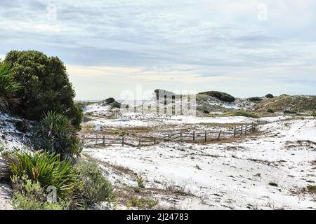 Les dunes de sable blanc de la côte de Floride et une barrière de chemin de fer séparée près de la plage de la côte du golfe de Floride à Watersun Florida, États-Unis. Banque D'Images