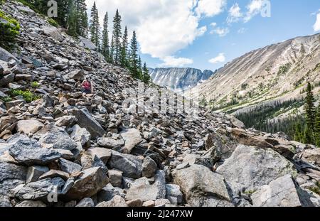 Une femme qui randonnée sur un champ de talus dans les montagnes au-dessus du sentier de Big Timber Creek sur le chemin de Blue Lake dans la chaîne de montagnes Crazy, Montana, États-Unis. Banque D'Images