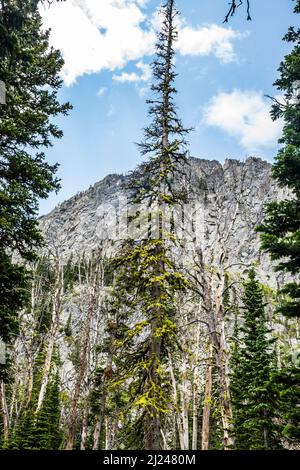 Montagnes au-dessus de la piste de Big Timber Creek jusqu'à Blue Lake dans la chaîne de montagnes Crazy Mountain, Montana, États-Unis. Banque D'Images