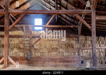Intérieur de la vieille Grange sale avec balles de foin poutres en bois foncé et échelle en bois Streaming lumière de la fenêtre Banque D'Images