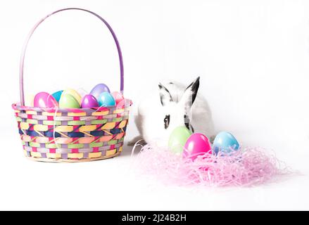 Lapin blanc avec panier de Pâques et œufs colorés sur lapin en herbe rose Banque D'Images