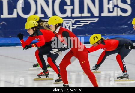 25 sept 2009-Séoul, Corée du Sud-Walter Bianca, à gauche, et Priebst Christin, Droite, de l'Allemagne participe aux quarts de finale de relais de 3000 mètres féminin des Championnats du monde de patinage de vitesse sur piste courte 2009 de l'UIP le 25 septembre 2009 à Séoul, Corée du Sud. Banque D'Images