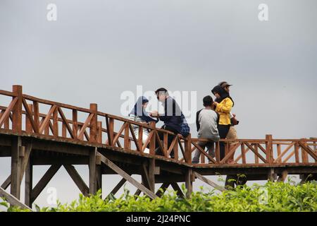 MALANG, INDONÉSIE - 28 avril 2019 : plantation de thé Lawang (kebun teh lawang), Malang, Java-est Banque D'Images