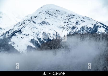 paysage de montagne d'hiver. Déneigeuses sur le flanc de montagne couvert de neige en hiver, sapins sur le sommet de la colline et ciel bleu. Beau paysage d'hiver avec neige co Banque D'Images