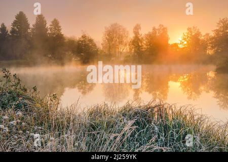 Ambiance matinale automnale à l'étang dans la réserve naturelle Wildert à Illnau. Le givre recouvre la végétation au premier plan ainsi que sur les îles et les nuages de brouillard survolant l'eau au lever du soleil, canton de Zurich, Suisse Banque D'Images