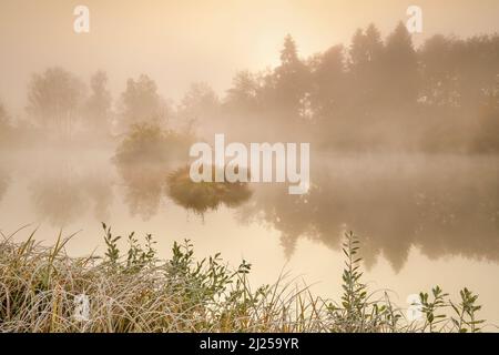 Ambiance matinale automnale à l'étang dans la réserve naturelle Wildert à Illnau. Le givre recouvre la végétation au premier plan ainsi que sur les îles et les nuages de brouillard survolant l'eau au lever du soleil, canton de Zurich, Suisse Banque D'Images