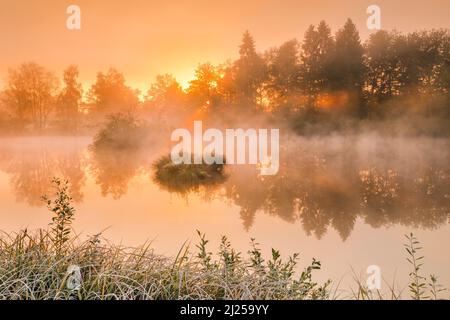 Ambiance matinale automnale à l'étang dans la réserve naturelle Wildert à Illnau. Le givre recouvre la végétation au premier plan ainsi que sur les îles et les nuages de brouillard survolant l'eau au lever du soleil, canton de Zurich, Suisse Banque D'Images