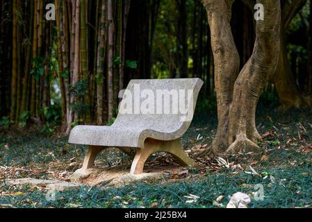 Gros plan d'un banc de pierre dans un parc forestier Banque D'Images