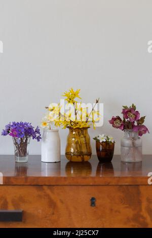 Une rangée de vases avec différentes fleurs de printemps Banque D'Images