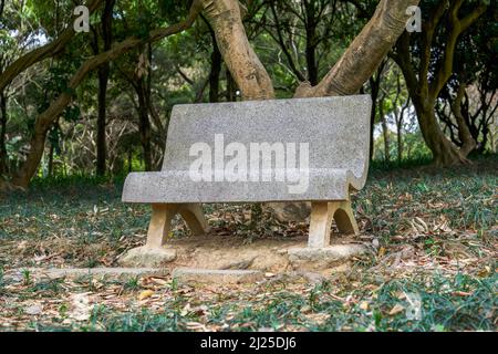 Gros plan d'un banc de pierre dans un parc forestier Banque D'Images