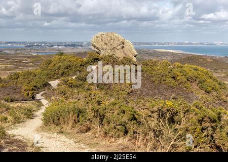 Agglestone Rock aka Devil's Anvil, Studland et Godlingston Heath, Dorset, Royaume-Uni Banque D'Images