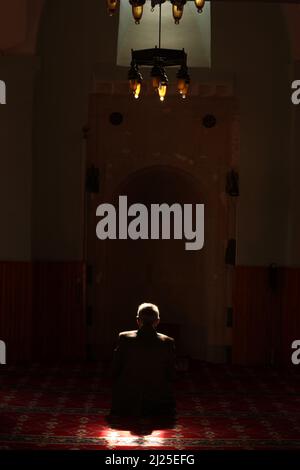 Dos d'un vieil homme blanc méconnaissable priant dans une mosquée sombre avec un faisceau de lumière du soleil tombant sur la tête et les épaules. Zone de prière avec tapis rouge, moquette Banque D'Images