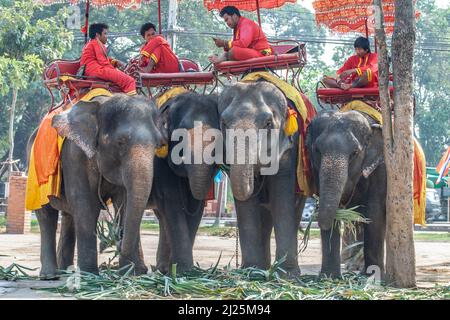 Ayutthaya, Thaïlande - 24 décembre 2009 : les mahouts se reposent dans la selle de leurs elefants, en attendant les touristes pour un tour. Banque D'Images