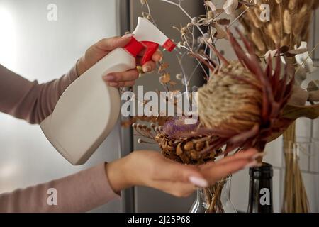 feuille de plante maison spathiphyllum, humidifiée avec des gouttes d'eau, à la main.Fleurs tropicales humides dans des pots de fleurs.Soin de la maison, sol dr Banque D'Images