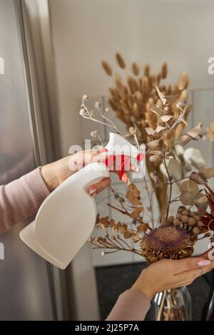 feuille de plante maison spathiphyllum, humidifiée avec des gouttes d'eau, à la main.Fleurs tropicales humides dans des pots de fleurs.Soin de la maison, sol dr Banque D'Images