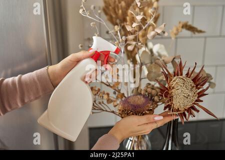 feuille de plante maison spathiphyllum, humidifiée avec des gouttes d'eau, à la main.Fleurs tropicales humides dans des pots de fleurs.Soin de la maison, sol dr Banque D'Images