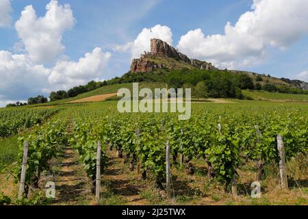 Roche de Solutre et vignobles en Bourgogne. Banque D'Images