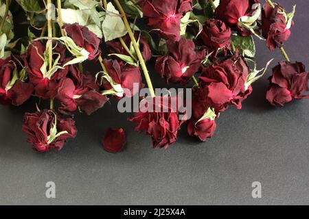 Roses rouges séchées sur table noire. Vue de dessus. Gros plan Banque D'Images