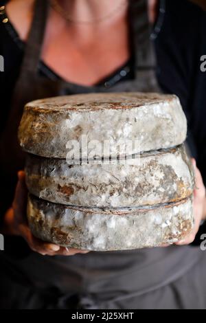 Fromage français traditionnel : Tomme de Savoie. Fromage de montagne. Banque D'Images