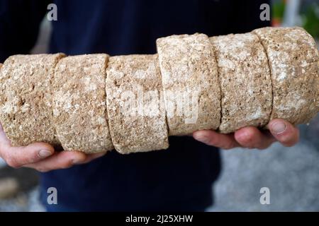 Fromage français traditionnel : Tomme de Savoie. Fromage de montagne. Banque D'Images