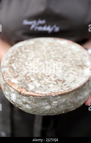 Fromage français traditionnel : Tomme de Savoie. Fromage de montagne. Banque D'Images