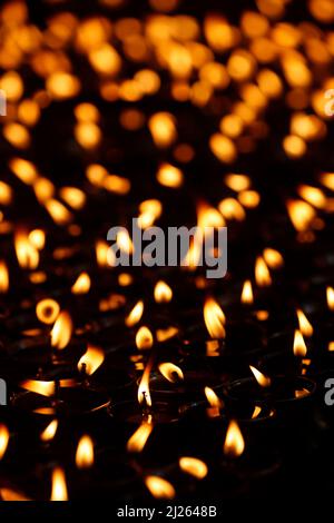 Monastère de Pema Osel Ling. Lampes au beurre ou à l'huile pour les rituels bouddhistes. Banque D'Images