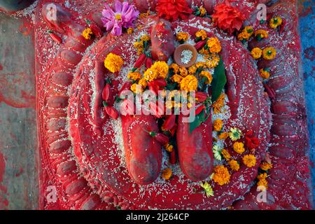 Monastère de Pema Osel Ling. Mandala. Bouddha peint en rouge deux pieds riz et fleurs offrandes. Banque D'Images