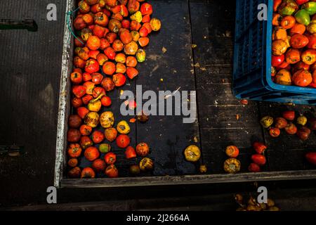 Des fruits charbonnaduro crus (palmier à pêche) sont proposés à la vente sur un marché de rue à Popayán, en Colombie. Banque D'Images