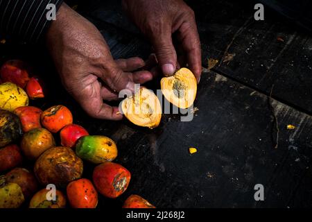 Un vendeur colombien présente une moitié de fruits chontaduro (palmier à pêche) dans le marché de rue de Popayán, Cauca, Colombie. Banque D'Images