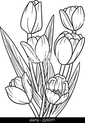 Page de coloriage des fleurs de tulipes pour adultes Illustration de Vecteur