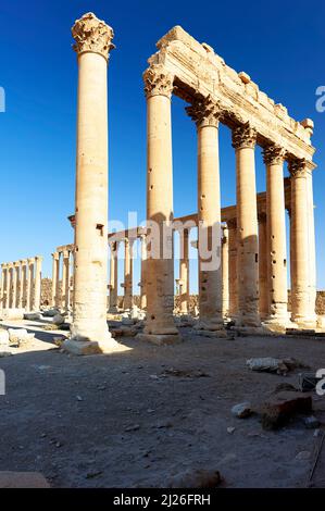 Syrie. L'ancienne ville de Palmyra. Temple de Bel Banque D'Images