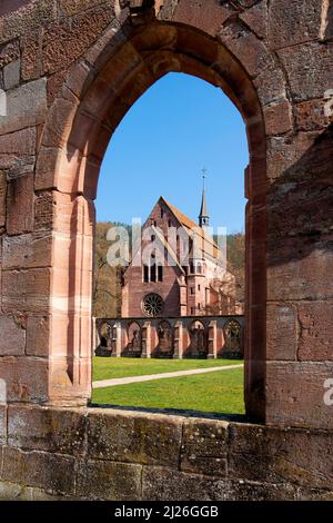 Cloître et Chapelle de la Dame. Monastère des ruines Hirsau, Calw, Allemagne. L'histoire du monastère remonte au 9th siècle, mais la basilique et ses voisins Banque D'Images