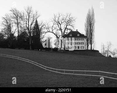 Musée Richard Wagner et arbres, Lucerne. Banque D'Images