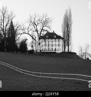 Musée Richard Wagner et arbres, Lucerne. Banque D'Images