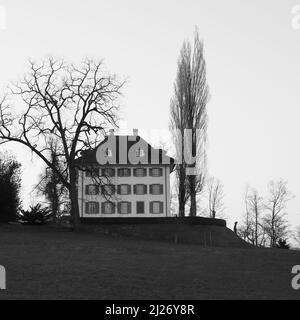 Musée Richard Wagner et arbres, Lucerne. Banque D'Images