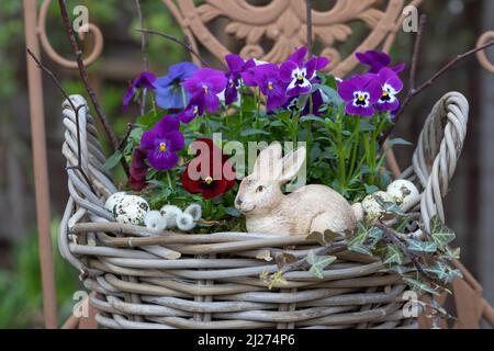 décoration de pâques avec lapin de pâques et fleurs de violette dans un panier Banque D'Images