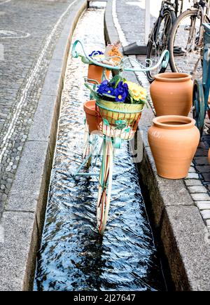 Freiburg im Breisgau (Bade-Wurtemberg, Allemagne): „Bächle“ in der Altstadt; rinnel, petits canons remplis d'eau, dans la vieille ville Banque D'Images