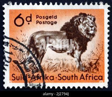 AFRIQUE DU SUD - VERS 1954: Un timbre imprimé en Afrique du Sud montre Lion, Panthera Leo, Big Cat, Animal, vers 1954 Banque D'Images