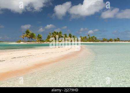 atolls bordés de palmiers dans l'archipel de Tuamotu Banque D'Images