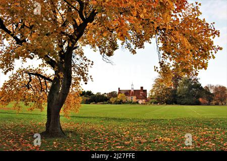 Arbre d'automne de couleur orange, parcs universitaires, Oxford, Angleterre. Chute à l'Université d'Oxford. Scène de terrain de jeu automnal Banque D'Images