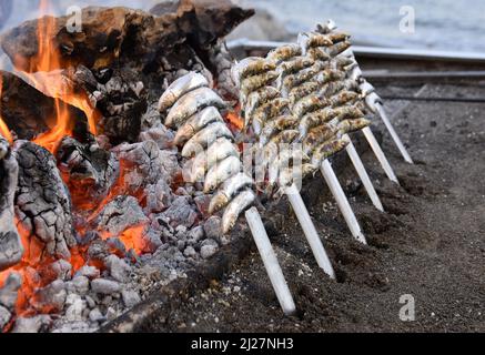 Sardines sur les brochettes de métal griller sur le feu ouvert à Malaga Andalousie Espagne. Banque D'Images